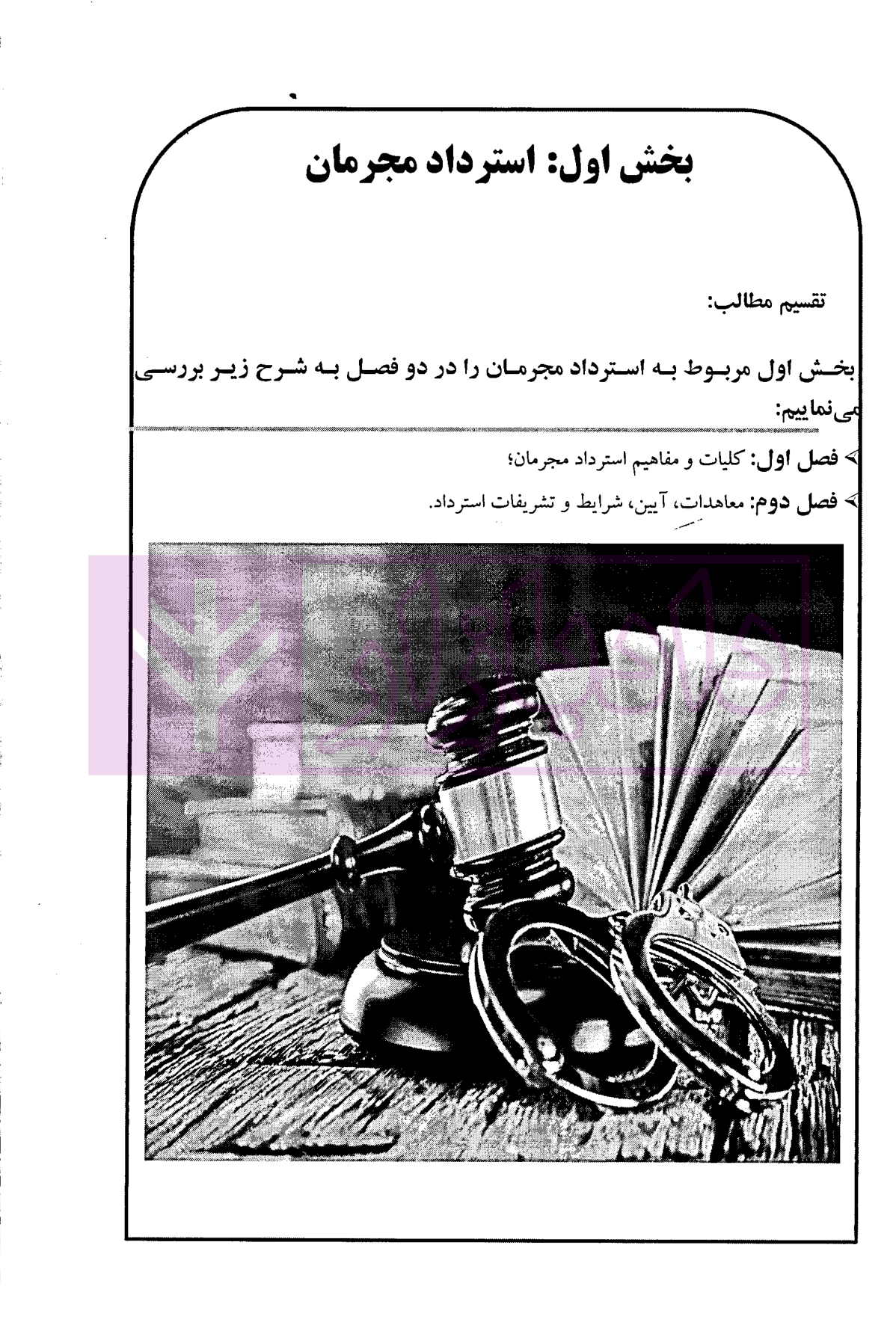 استرداد مجرمین در نظام کیفری ایران و حقوق بین الملل | بائی لاشکی