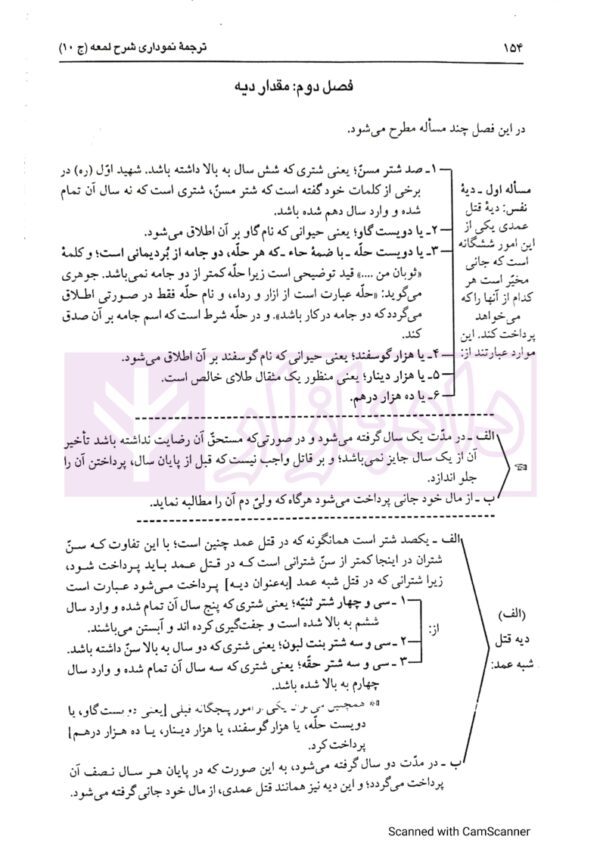 کاملترین ترجمه نموداری شرح لمعه 10 (قصاص-دیات) | دکتر مسجد سرایی