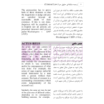ترجمه مقابله ای حقوق جزا Criminal Law | رمضانی