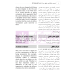 ترجمه مقابله ای حقوق جزا Criminal Law | رمضانی