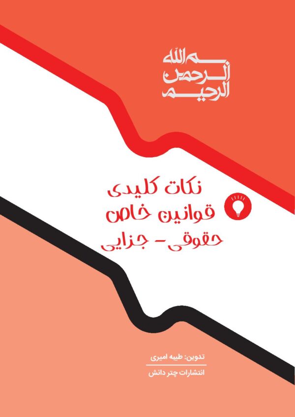 نکات کلیدی قوانین خاص حقوقی-جزایی (منطبق بر اعلامیه اسکودا 99) | امیری