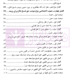 دیدگاه فقهای امامیه در اسباب و احکام فسخ نکاح و تطبیق آن با قانون مدنی | حیدری