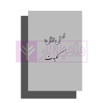 مبسوط در آیین دادرسی کیفری جلد اول | دکتر باری
