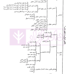 حقوق مدنی کاربردی | دکتر اسعدی و دکتر باقی