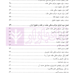 نگاهی نو به سیاست جنائی اسلام در جرائم منافی عفت | دکتر رستمی