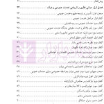 حقوق خدمات عمومی و اندازه دولت در ایران | کاویانی کمنی