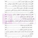 قانون مجازات اسلامی در نظم حقوقی کنونی | دکتر آقایی نیا و دکتر رستمی