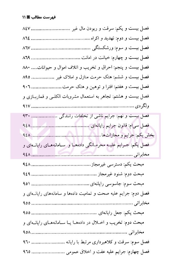 قانون مجازات اسلامی در نظم حقوقی کنونی | دکتر آقایی نیا و دکتر رستمی