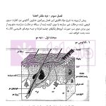 شرح مصور قانون مجازات اسلامی (دیات) | یعقوبی گلوردی
