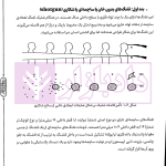 پزشکی قانونی | دکتر آیتی فیروز آبادی