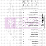 تالیف نامه آیین دادرسی مدنی | سیدجعفری